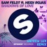 Shadows Of Love (ft. Heidi Rojas)(Andrew Lux Remix)