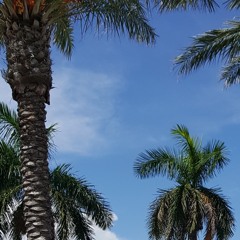 Girl (Big Time Pt.2)feat. Pleasure P & MJG