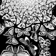 Relativity feat. Katrina Marie