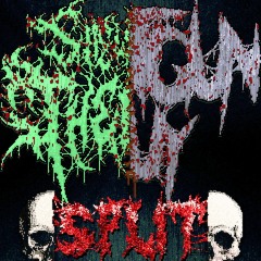 Vivis' Revenge (feat. Potato Hate Explosion, Unicorn Hole, Shotgun Guy)