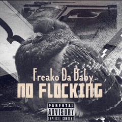 FreakoDaBaby- No Flockin Freestyle
