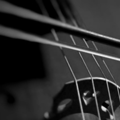 Umbral loops - for 15 strings