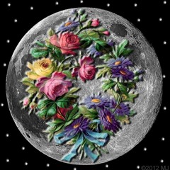 savage moon - flower moon freestyle