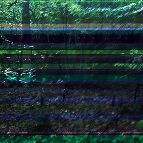 n o b o d y k n o w s