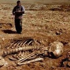 RETURN OF THE GIANTS