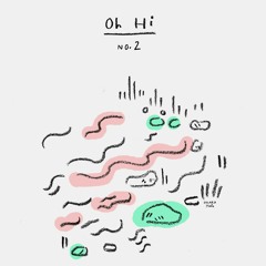 Slight - Origin Of Birds