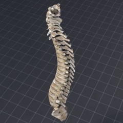 My Backbone (with video link inserted)