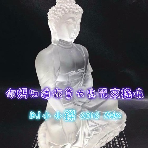 你媽知道你拿大悲咒來搖嗎 DJ小小鑠2016Mix