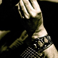 "Bird Outside My Window" SAW2016