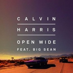 Calvin Harris Ft. Big Sean Vs. Rafter - Open Wide (2HARD'DjS Bootleg)