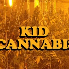 Chill of Flyluminati - Kid Cannabis