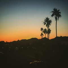 Desert Sunset
