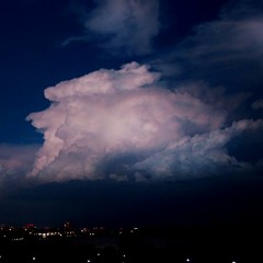 purpose / wrong about you