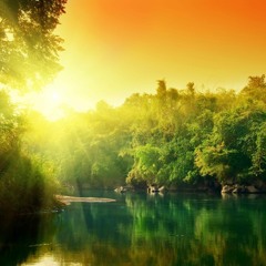 Amazon (Jungle Trance Ambient Mix)