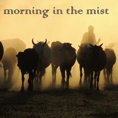 morning in the mist  [soundboard tinkerers - original]
