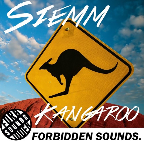 [FS011] Siemm - Kangaroo (Original Mix)