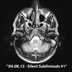 5H.0K.13 - Silent Subliminals #1 - 01 Intro