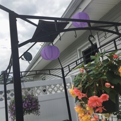 ITS SUMMER I WANNA BUMP ON A BEACH