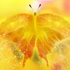 A Moth to the Flame - Bayan from Edmonton