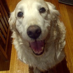 #PlaySchoolRemix(Produced by Uncle Sam)