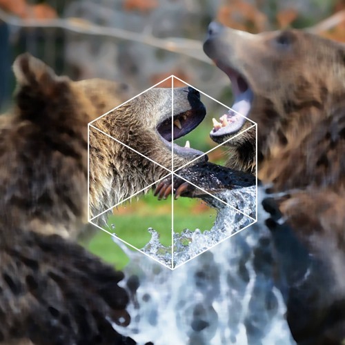 Lys & Revers Gagnant - Yellowstone