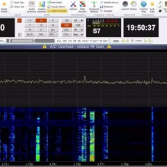 S32 The Squeaky Wheel On 3828 Khz