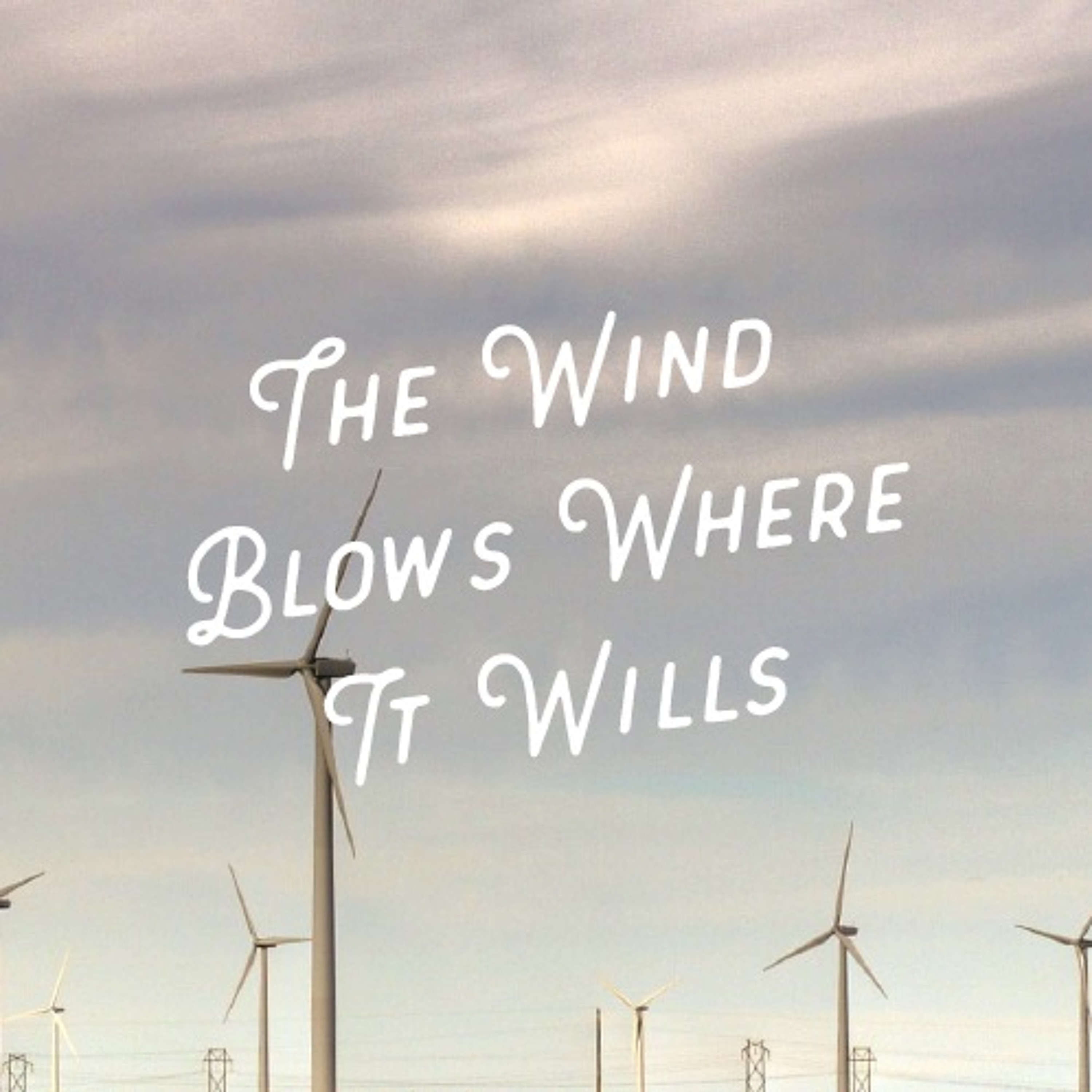 The Wind Blows Where It Wills - Lynn Barton, May 15, 2016 episode artwork