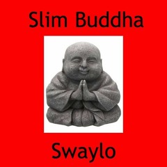 $waylo - Slim Buddha