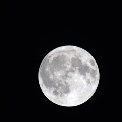 Nytt Kapitel (First Love)