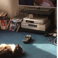 Abide With Me (disquiet 0229)