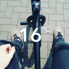 Tell me we're dreaming