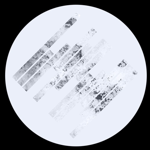 B1     THE WELDERZ - ORGUE (SNIPPET)