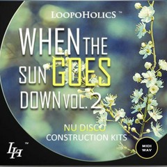 When The Sun Goes Down Vol 2  Nu Disco Kits Demo