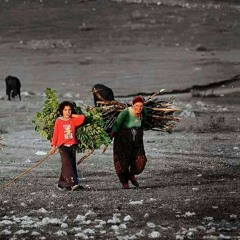 Kardeş Türküler / Denize yakılan türkü