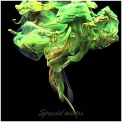 Special Waves