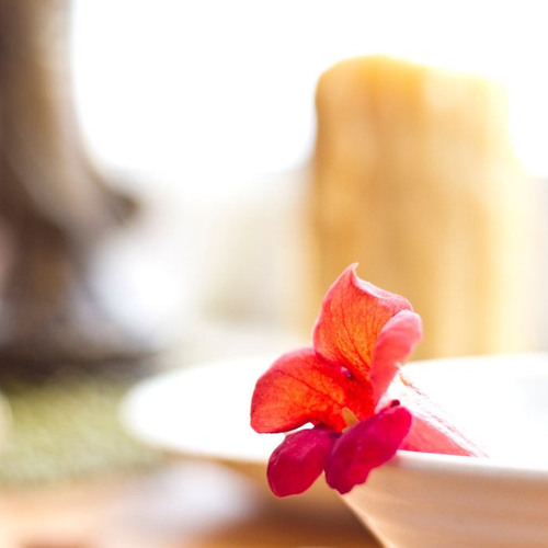 Mindfulness of the Breath & Taking the Backwards Step