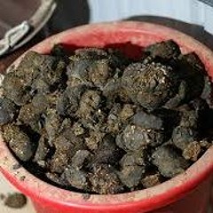 En Hink med Skit! / A Bucket of Shit! 2005