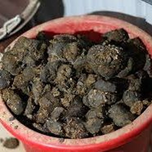 En Hink med Skit! / A Bucket of Shit! 2005