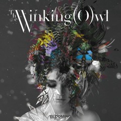 The Winking Owl - This Is How We Riot