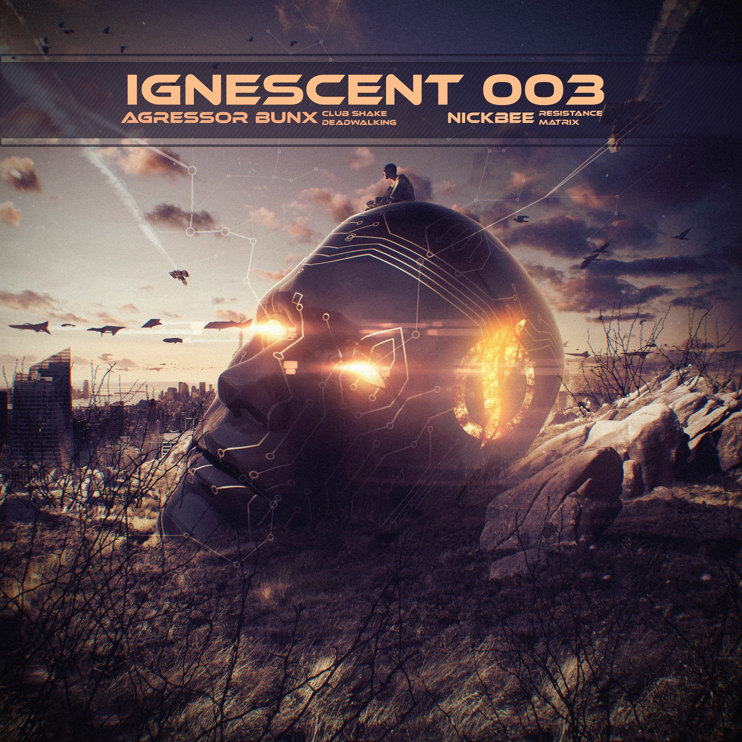 NickBee - Matrix [IGNT003LTD preview] OUT NOW!!! episode artwork