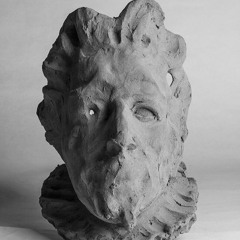 Cap Direccionalitat (Snippet)