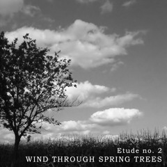 Etude No. 2 in C Major 'Wind Through Spring Trees'