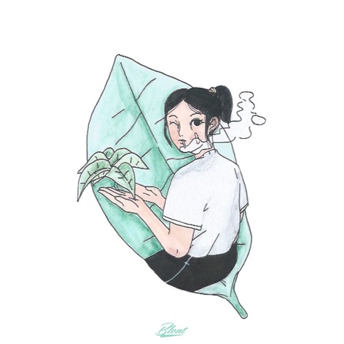 mt. marcy - you don't call anymore