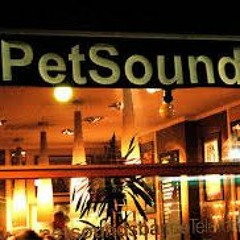 401 Posse Live at Pet Sounds Bar feat. Jazzy Julle 2013 Busta-Cover and Pussy Galore