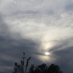 YOU GO FIRST. INDIANA JONES FLIP