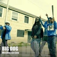 Big Dog