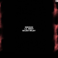 INDIGO2