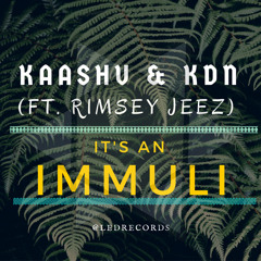 Kaashu & KDN Ft. Rimsey Jeez - It's An Imulli (Original Mix)