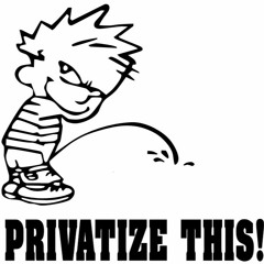 Privatize This MF!