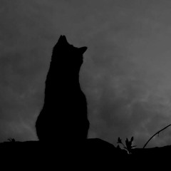 Jeff Gburek & Marco Lucchi - rami d'acqua scorrono nell'ombra